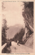 FRANCE - Les Jolies Coins De Savoie - St Jeoire En Faucigny - Route D'Onnion - Animé - Carte Postale Ancienne - Faucigny