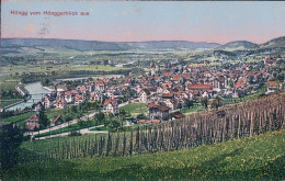 Höngg ZH, Village Et Vignes (11.9.1918) - Höngg