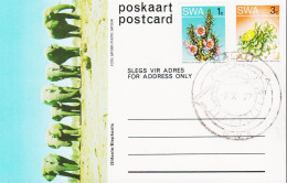 1977. SOUTH WEST AFRICA.  Flower 3 C Postcard (Motive Elephants) + 1 C Flower Cancelled HALA... (Michel 373+) - JF546597 - Südwestafrika (1923-1990)