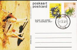 1977. SOUTH WEST AFRICA.  Flower 3 C Postcard (Motive Jackal) + 2 C Flower Cancelled AUS 7 X... (Michel 390+) - JF546599 - Südwestafrika (1923-1990)