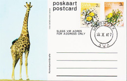 1977. SOUTH WEST AFRICA.  Flower 3 C Postcard (Motive Giraffe) + 2 C Flower Cancelled WINDHO... (Michel 374+) - JF546600 - Südwestafrika (1923-1990)