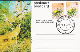 1977. SOUTH WEST AFRICA.  Flower 3 C Postcard (Motive Kudu) + 3 C Flower Cancelled KARASBURG... (Michel 375+) - JF546601 - Südwestafrika (1923-1990)