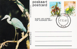 1977. SOUTH WEST AFRICA.  Flower 3 C Postcard (Motive Grey Horn) + 4 C Flower Cancelled KARI... (Michel 377+) - JF546603 - Südwestafrika (1923-1990)