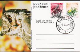 1977. SOUTH WEST AFRICA.  Flower 3 C Postcard (Motive Giant Eagle Owl) + 5 C Flower Cancelle... (Michel 391+) - JF546604 - Südwestafrika (1923-1990)