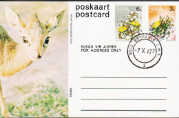 1977. SOUTH WEST AFRICA.  Flower 3 C Postcard (Motive Dikdik) + 6 C Flower Cancelled BETHANI... (Michel 378+) - JF546605 - Südwestafrika (1923-1990)