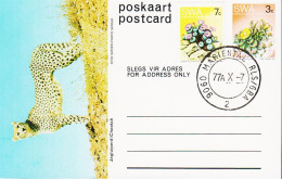 1977. SOUTH WEST AFRICA.  Flower 3 C Postcard (Motive Cheetah) + 7 C Flower Cancelled MARIET... (Michel 379+) - JF546606 - Südwestafrika (1923-1990)