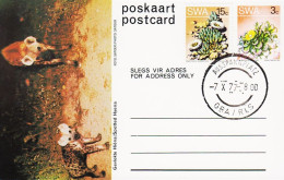1977. SOUTH WEST AFRICA.  Flower 3 C Postcard (Motive Spotted Hyena) + 15 C Flower Cancelled... (Michel 383+) - JF546609 - Südwestafrika (1923-1990)