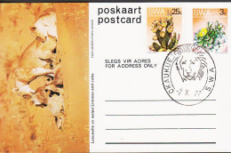 1977. SOUTH WEST AFRICA.  Flower 3 C Postcard (Motive Lioness And Cubs) + 20 C Flower Cancel... (Michel 385+) - JF546611 - Südwestafrika (1923-1990)