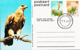 1977. SOUTH WEST AFRICA.  Flower 3 C Postcard (Motive Great Tawny Eagle) + 10 C Flower Cance... (Michel 381+) - JF546612 - Südwestafrika (1923-1990)