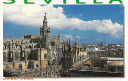 *CPM - ESPAGNE -  ANDALOUSIE - SEVILLA - La Cathedral Y La Giralda - Sevilla