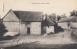 CPA ( 62)SAINT POL   Feme Picarde - Saint Pol Sur Ternoise