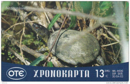 GREECE - Turtle, OTE Prepaid Card 13 Euro, 04/02, Used - Tartarughe