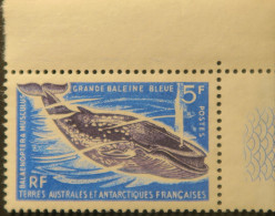 LP3039/58 - T.A.A.F. - 1966 - Grande Baleine Bleue - N°22 NEUF** CDF - Cote (2024) : 31,00 € - Unused Stamps