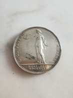 Urban Friedrich Benedict Bruckmann 1912 Silver Medal - Adel