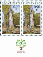 ** 497 Slovakia EUROPA Forests - Poloniny National Park 2011 - 2011