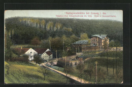 AK Coswig I. Sa., Blick Auf Die Spitzgrundmühle - Coswig