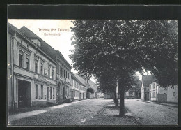 AK Trebbin /Kr. Teltow, Häuser An Der Berlinerstrasse  - Trebbin