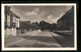 AK Oldenburg I. Holst., Hoheluftstrasse Mit Bäumen  - Oldenburg (Holstein)