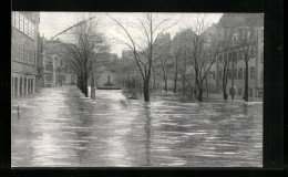 AK Nürnberg, Hochwasser-Katastrophe Vom 05. Febr. 1909, Denkmal Auf Dem Maxplatz  - Overstromingen