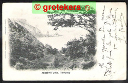 TORQUAY Anstey’s Cove Sent 1902 From Dieppe (F) > Constantine See Stamp  - Torquay