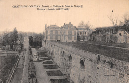 45-CHATILLON COLIGNY-N°T5225-G/0097 - Chatillon Coligny