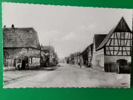 Durrenbach , Rue Principale - Chatenois