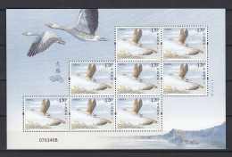 China 2018 - Oiseaux - Birds - WILD GOOSE - MNH - Nuevos