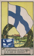 Finland Suomi 2002 Maximum Card, National Flag, Suomen Lippu, Finlands Flagga - Maximum Cards & Covers