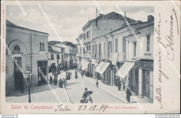 Ae566 Cartolina Saluti Da Campobasso Citta' Via Xx Settembre 1901 - Campobasso