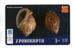 Coquillage  Carte Prépayée Grèce Card ( T 159) - Grecia