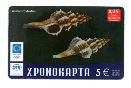 Coquillage  Carte Prépayée Grèce Card ( T 161) - Grecia