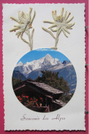 Souvenir Des Alpes - Véritables Fleurs D'Edelweiss - Rhône-Alpes
