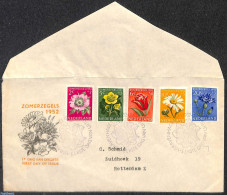 Netherlands 1952 Flowers FDC, Open Flap, Typed Address, First Day Cover, Nature - Flowers & Plants - Covers & Documents