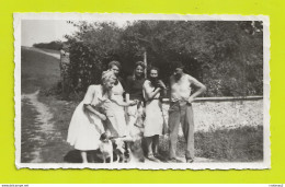 Photo Originale D'une Famille à La Campagne Avec 2 Chiens Et 1 Chat Noir En Août 1947 - Unclassified