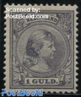 Netherlands 1891 1gld, Stamp Out Of Set, Unused (hinged) - Neufs