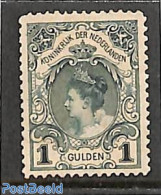 Netherlands 1898 Coronation 1v [Kroningsgulden], Unused (hinged), History - Kings & Queens (Royalty) - Unused Stamps