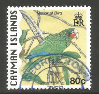 CAYMAN ISLANDS. 80c PARROT / BIRDS USED. - Caimán (Islas)