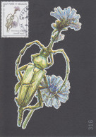 Carte  Maximum  1er  Jour   SAINT  PIERRE   MIQUELON     Insecte  Sur  Fleur    1993 - Maximum Cards