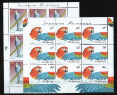 MACEDONIA 2010 - DOMESTIC PETS,PARROTS SS MNH - Nordmazedonien