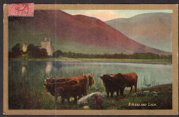 England - 1907 - Bulls - A Highland Loch - Taureaux