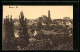 AK Dahlen I. Sa., Ortstotale Mit Blick Auf Die Kirche  - Dahlen