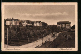 AK Gunzenhausen, Allee Bei Der Hensoltshöhe  - Gunzenhausen