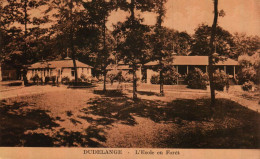 DUDELANGE - L'École En Forêt - Dudelange