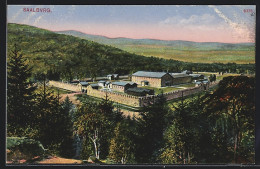 AK Saalburg / Bad Homburg, Blick Auf Die Kastell Saalburg  - Saalburg