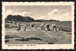 AK Sierksdorf, Strandkörbe Im Ostseebad  - Sierksdorf