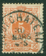 Belgique   28  Ob  TB   Obli  Neufchateau   - 1869-1888 Lion Couché (Liegender Löwe)