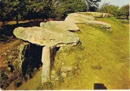 MORBIHAN - LOCMARIAQUER - Le Dolmen Du Mané-Réthual  - Pierre Artaud - N° 11 - Dolmen & Menhirs