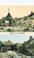 91 MILLY LA FORET  - Milly La Foret