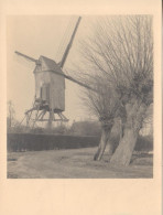 ZEVENEECKEN   - Moulin à Vent - De Stads Molen - 1930 - - Lochristi