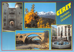 66-CERET-N°C-4316-D/0079 - Ceret